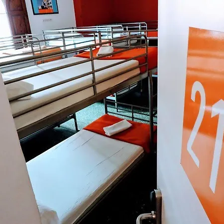 Feetup Backpackers Hostel *