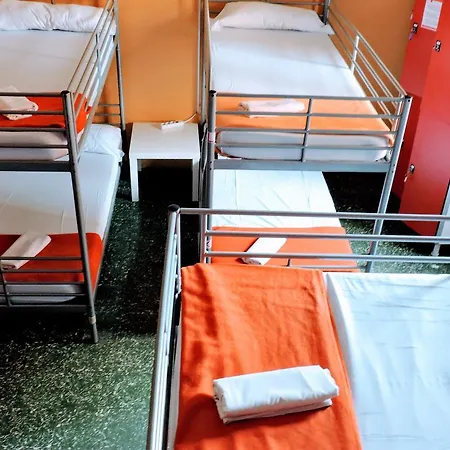 瓦伦西亚背包客菲特乌普旅馆